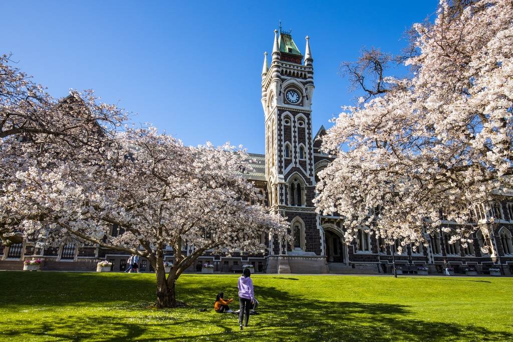 Original 5120x3414 res Clocktower lawn Original 5120x3414 res Clocktower lawn