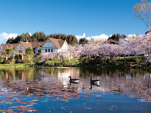 ipunz_img_05 ipunz_img_05